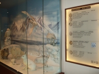 Η UrboTour στο Μουσείο Φυσικής Ιστορίας Μετεώρων και Μουσείο Μανιταριών